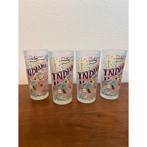 Catstudio Indiana State Frosted Highball Glasses Set of 4 Map Souvenir 2016